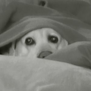 Meet your Posher, Joanne